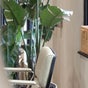 Cuttlefish Eco Salon - Brighton