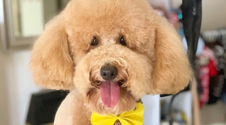 Imagen 3 de Paws de Vuitton