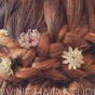 Divine hair Studio