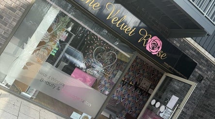 The Velvet Rose