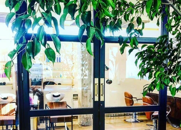 Entrance to Salon 144 in Cabo San Lucas with lush greenery and modern interior visible.