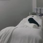 MELT
