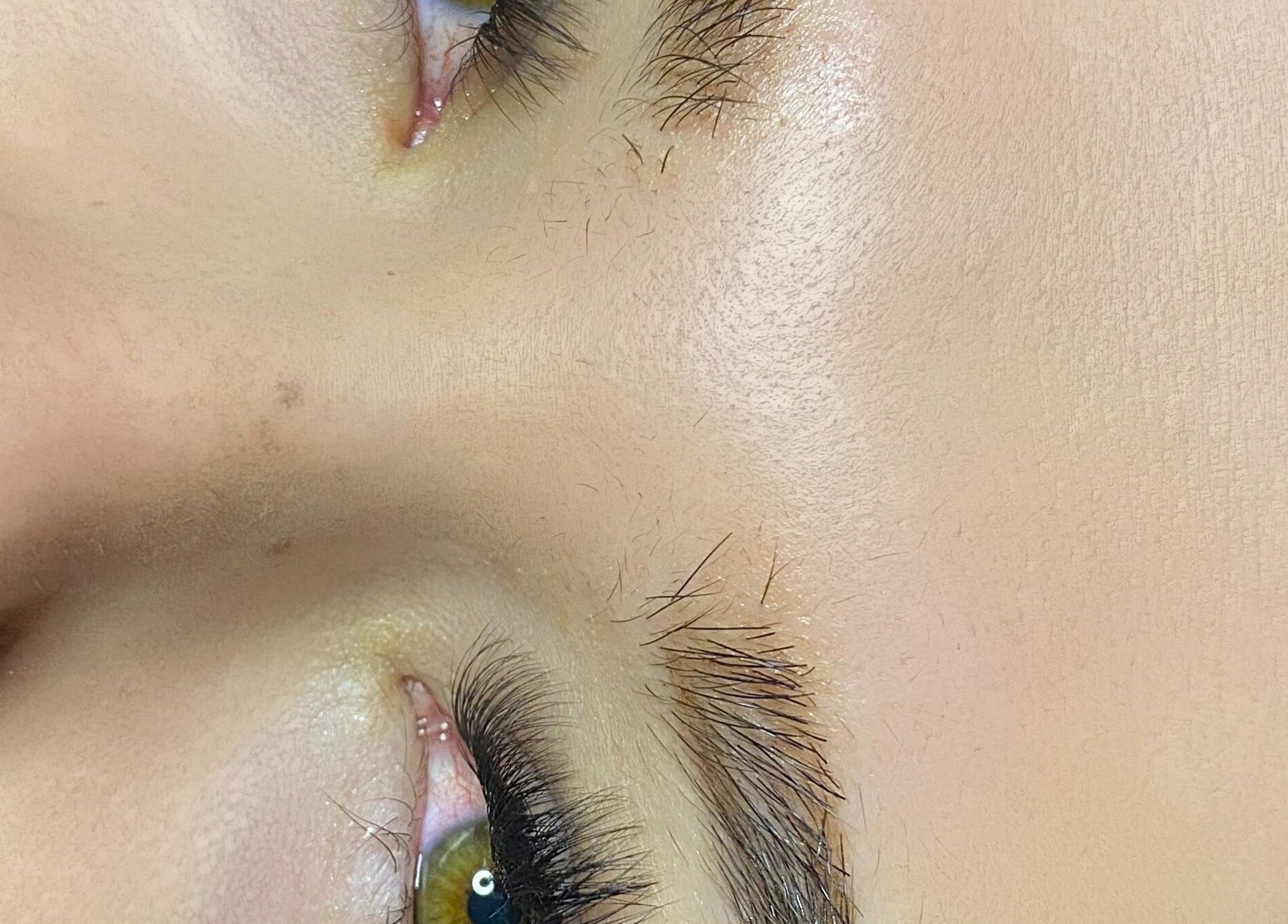 Close-up of a well-groomed eye area at Pre Existing Clients Of Polished By The Sea, Newfoundland And Labrador, CA.