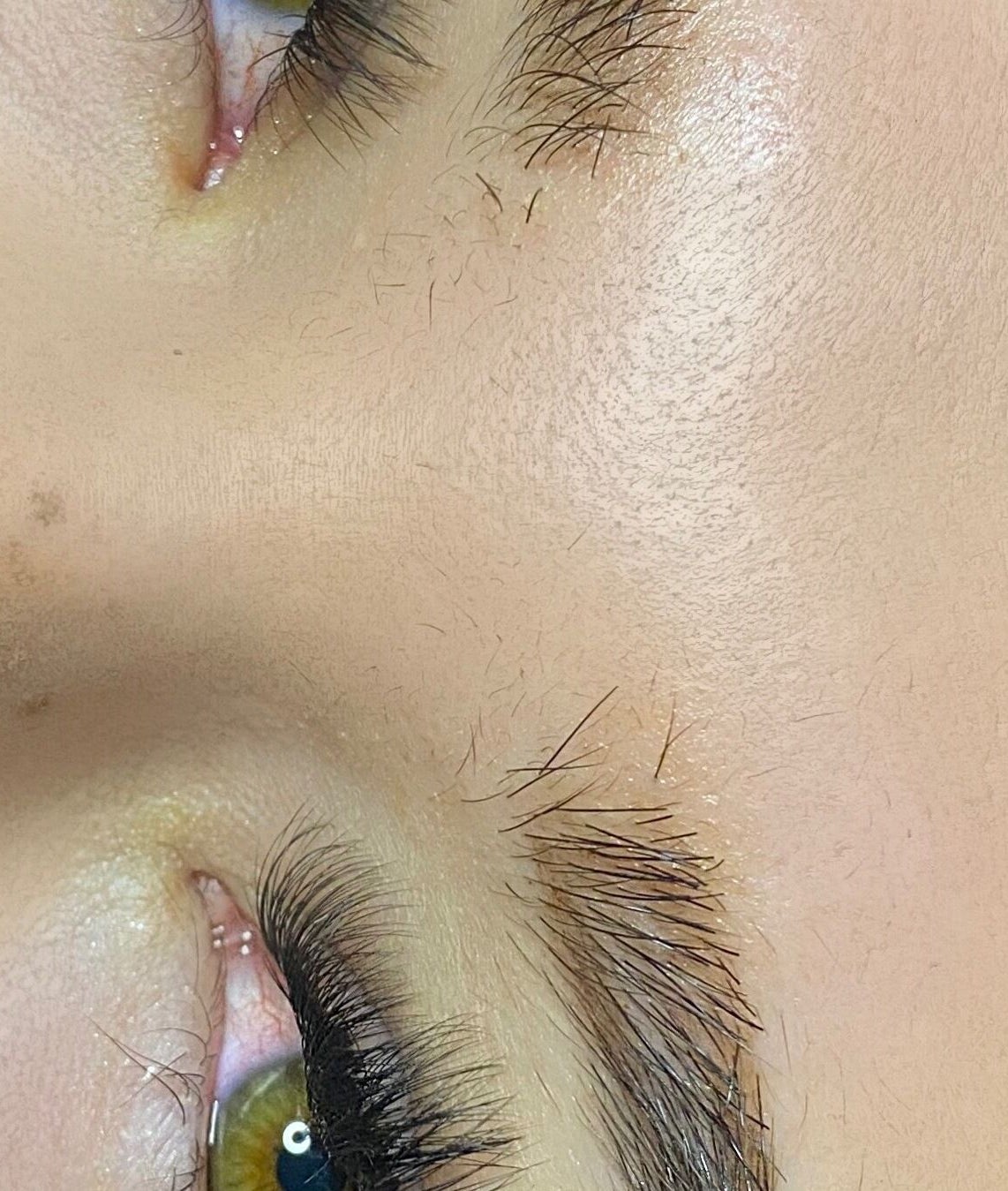 Close-up of a well-groomed eye area at Pre Existing Clients Of Polished By The Sea, Newfoundland And Labrador, CA.