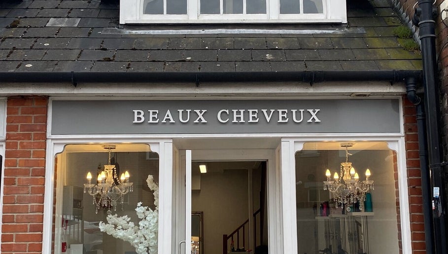 Beaux Cheveux – obraz 1