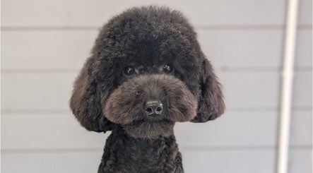 GGs Pups Staines image 2