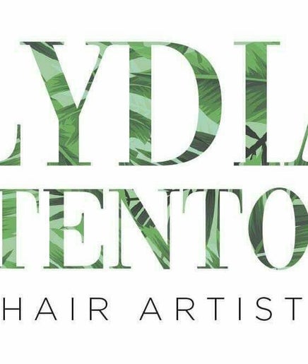 Lydia Stenton Hair image 2