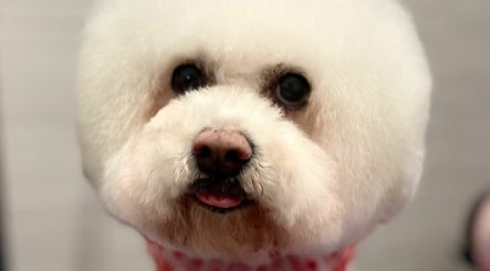 Lush Puppy image 3