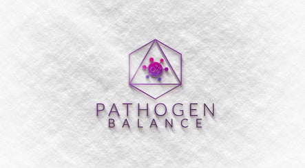 Pathogen Balance - Worldwide Remote Energy Healing, bild 3