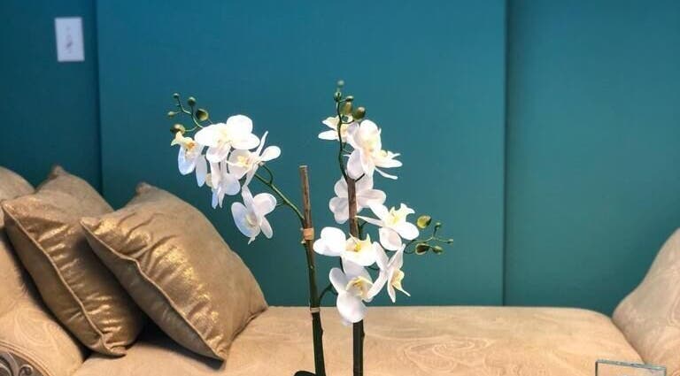 Tranquil orchid display at Au Feminin Sarasota, enhancing the relaxing ambiance in Sarasota, Florida, US.