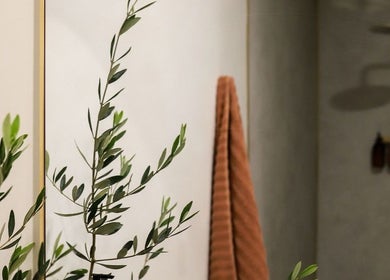 Tranquil spa setting at Recovery by Oura with plants in Gisborne, Gisborne, NZ.