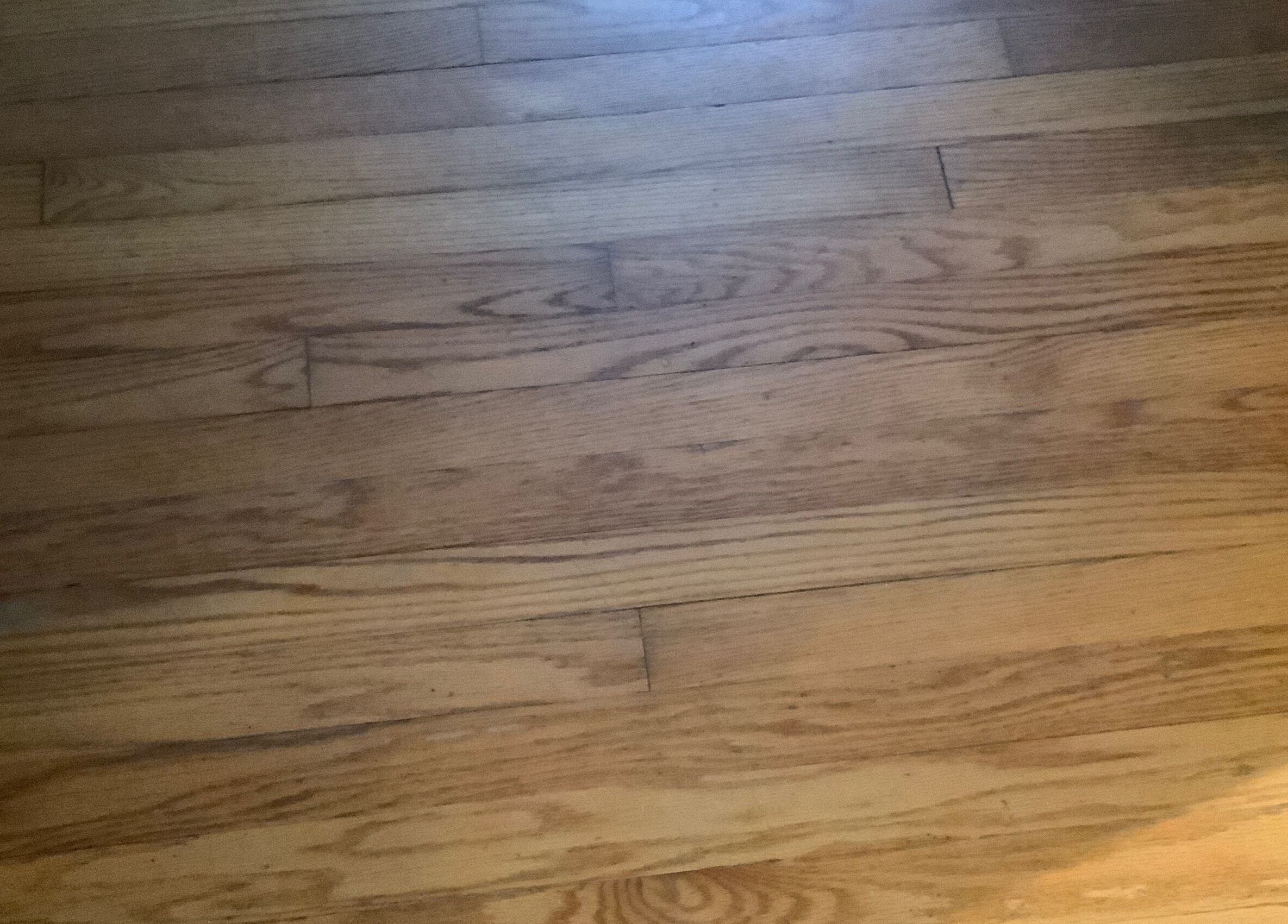 Polished hardwood floor at Bloom Salon Studio, Richmond, Virginia, US, offering a warm and inviting ambiance.