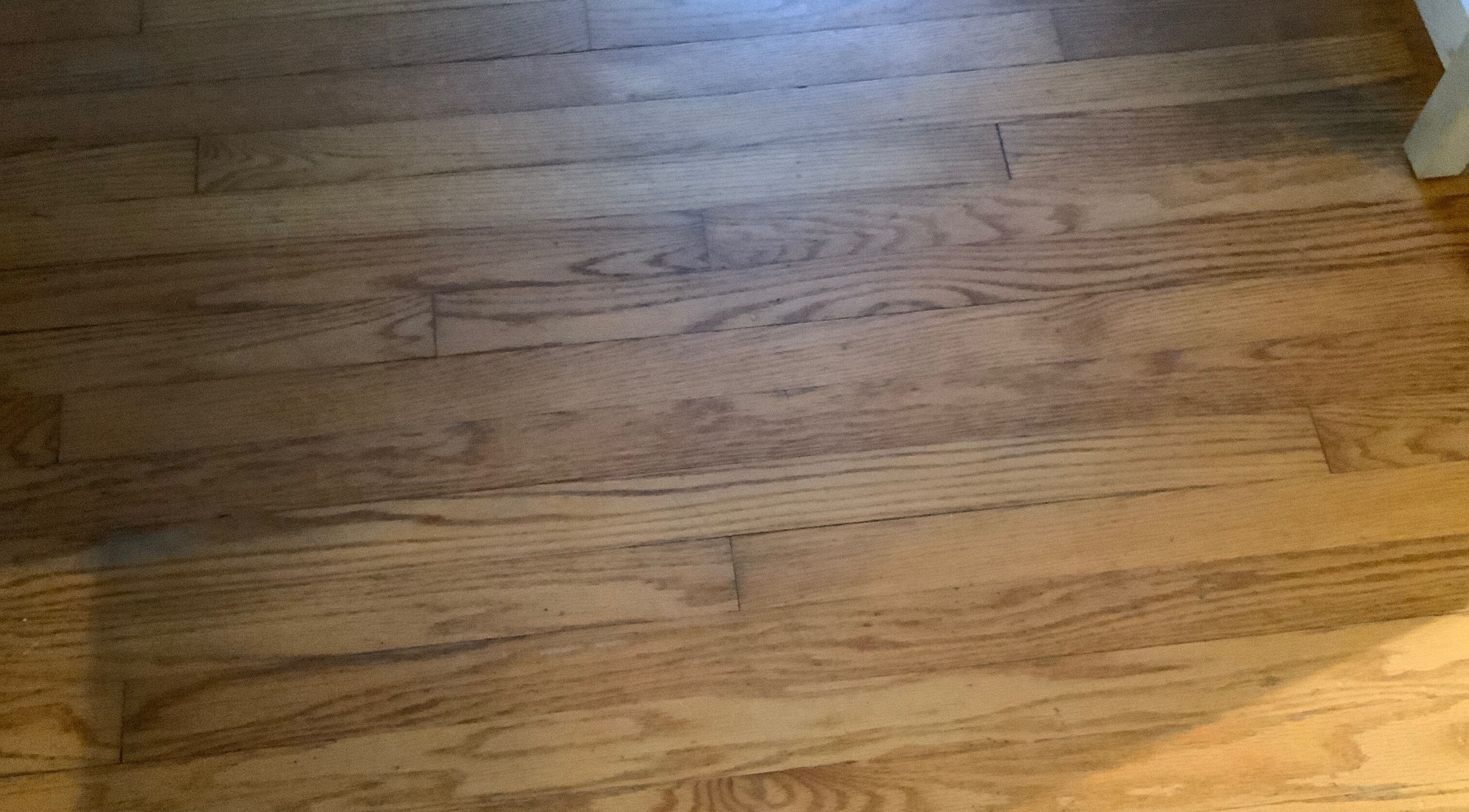 Polished hardwood floor at Bloom Salon Studio, Richmond, Virginia, US, offering a warm and inviting ambiance.