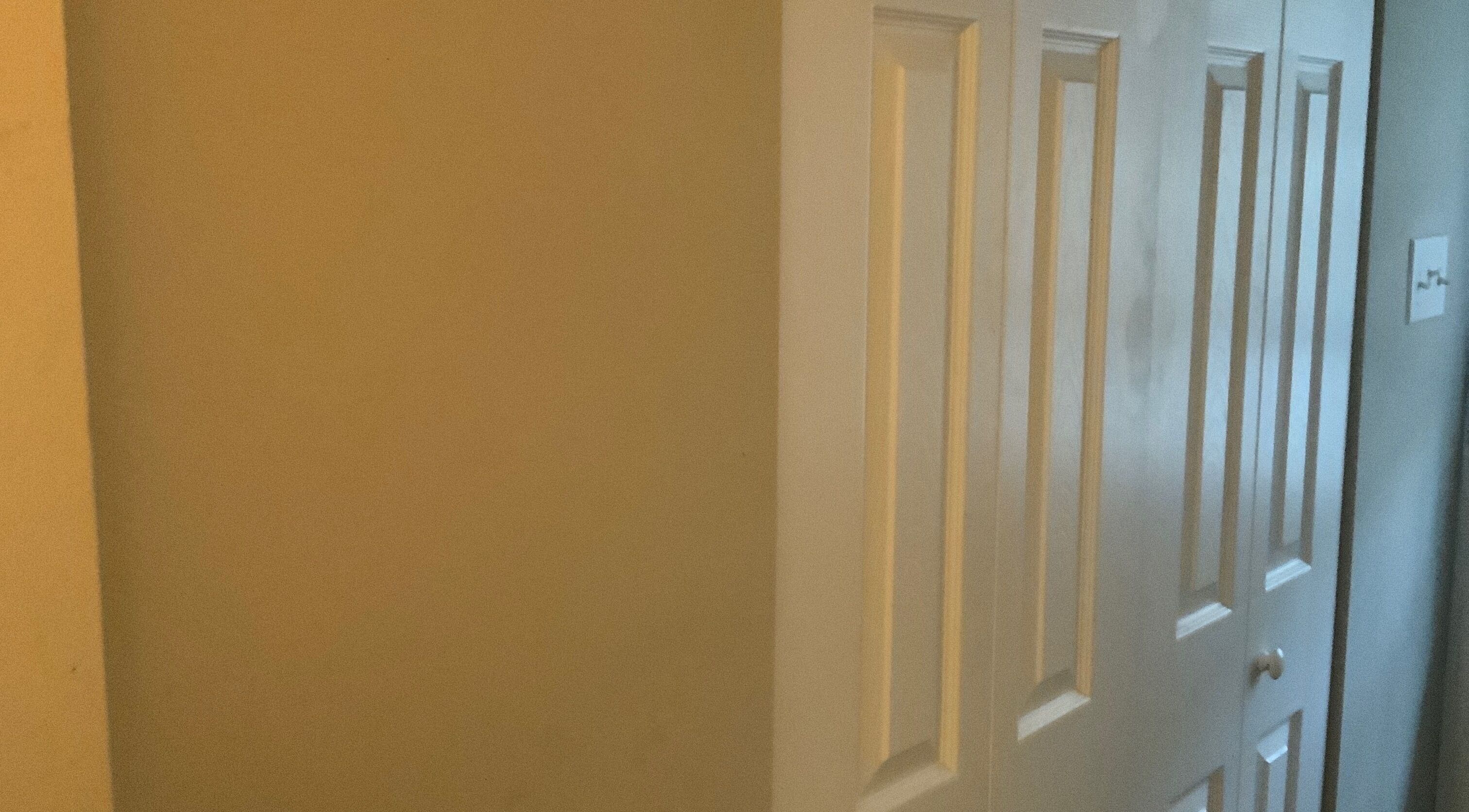 Elegant interior view of Bloom Salon Studio, Richmond, Virginia, US with stylish doors.