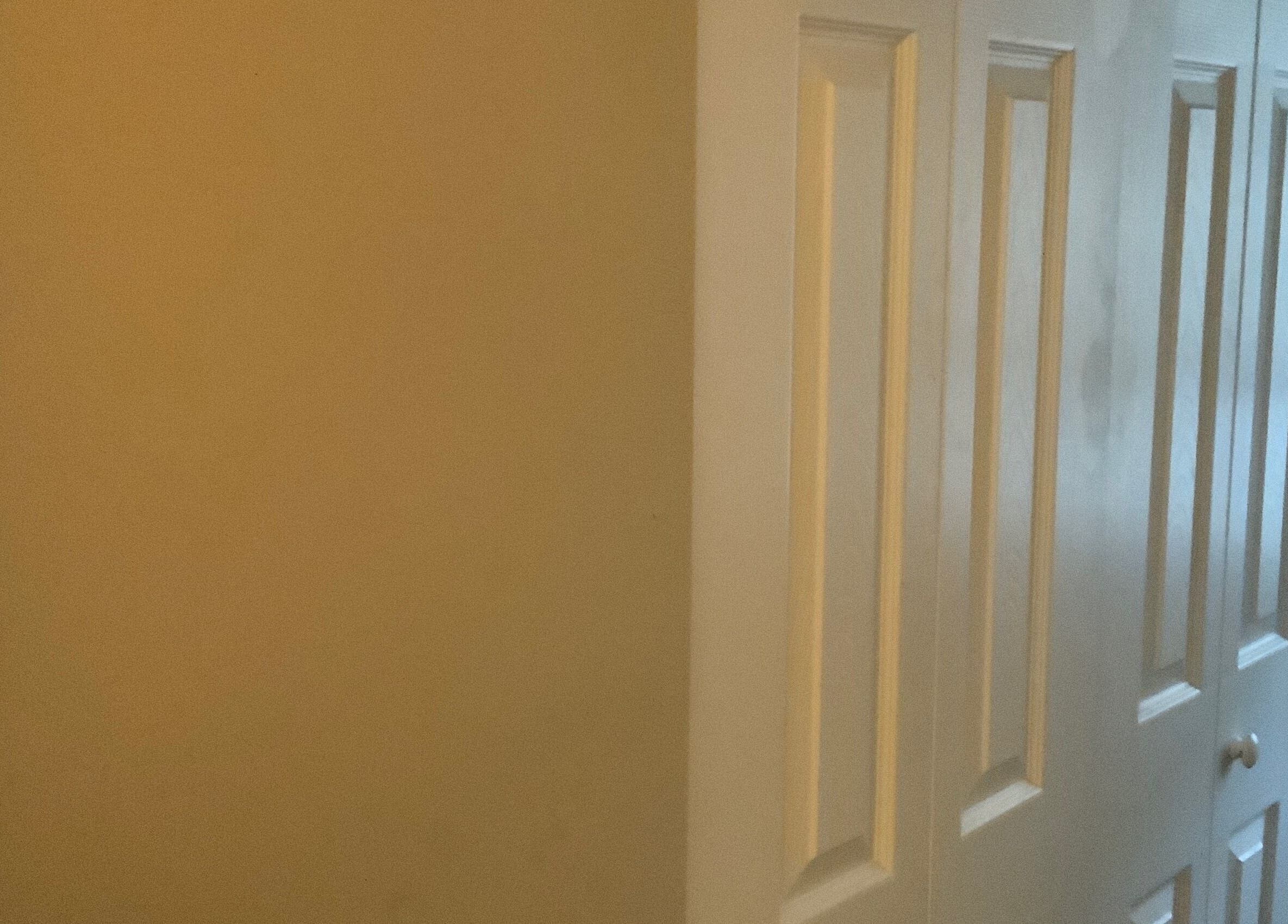 Elegant white door in Bloom Salon Studio, Richmond, Virginia, US, showcasing modern design.