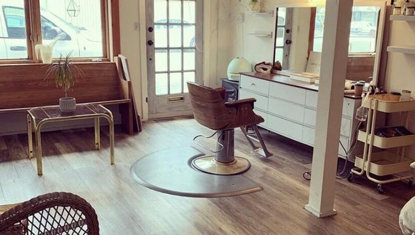 The Fox and the hair image 1