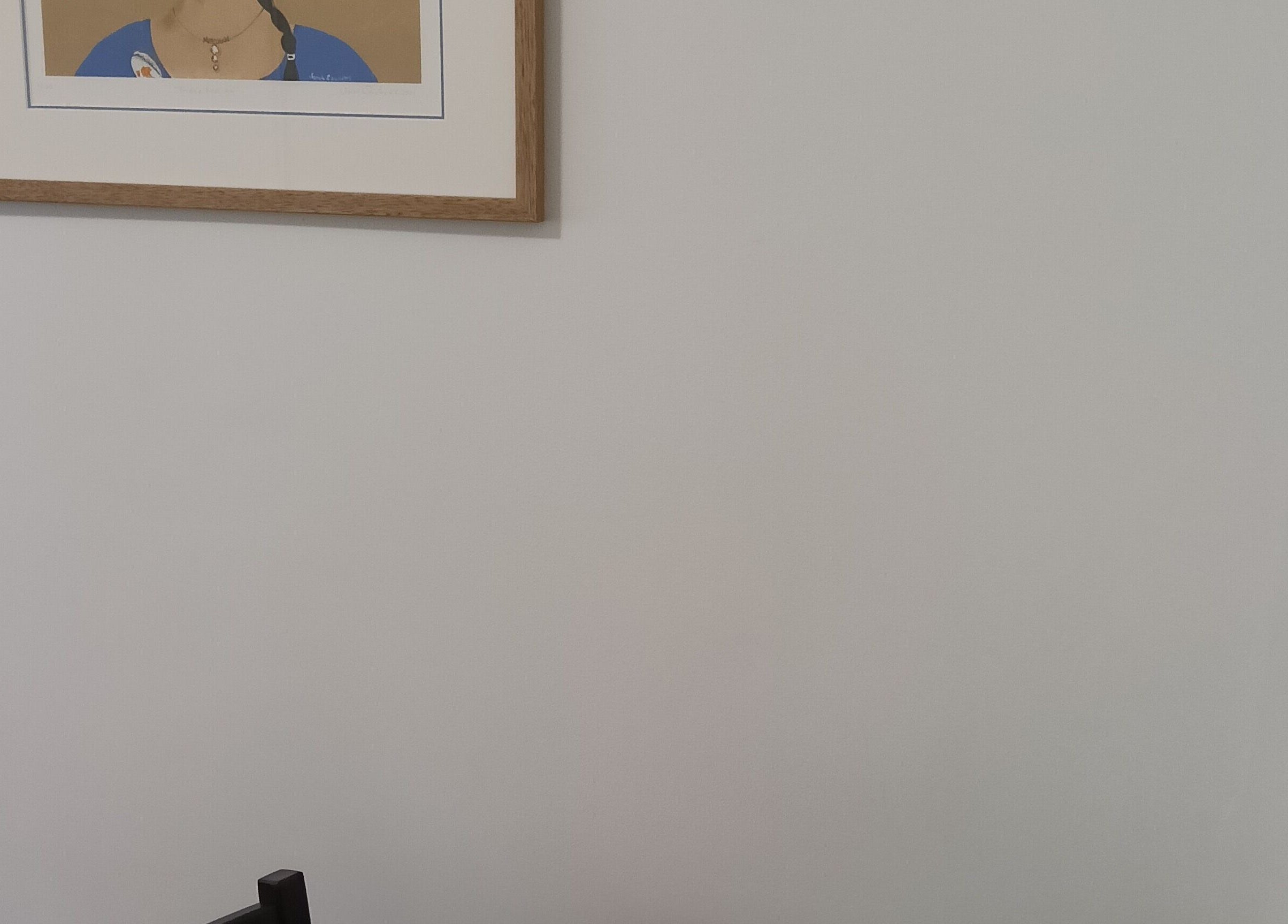 Elegant wall art at Celeste Salter Homeopath, Bathurst, New South Wales, AU.