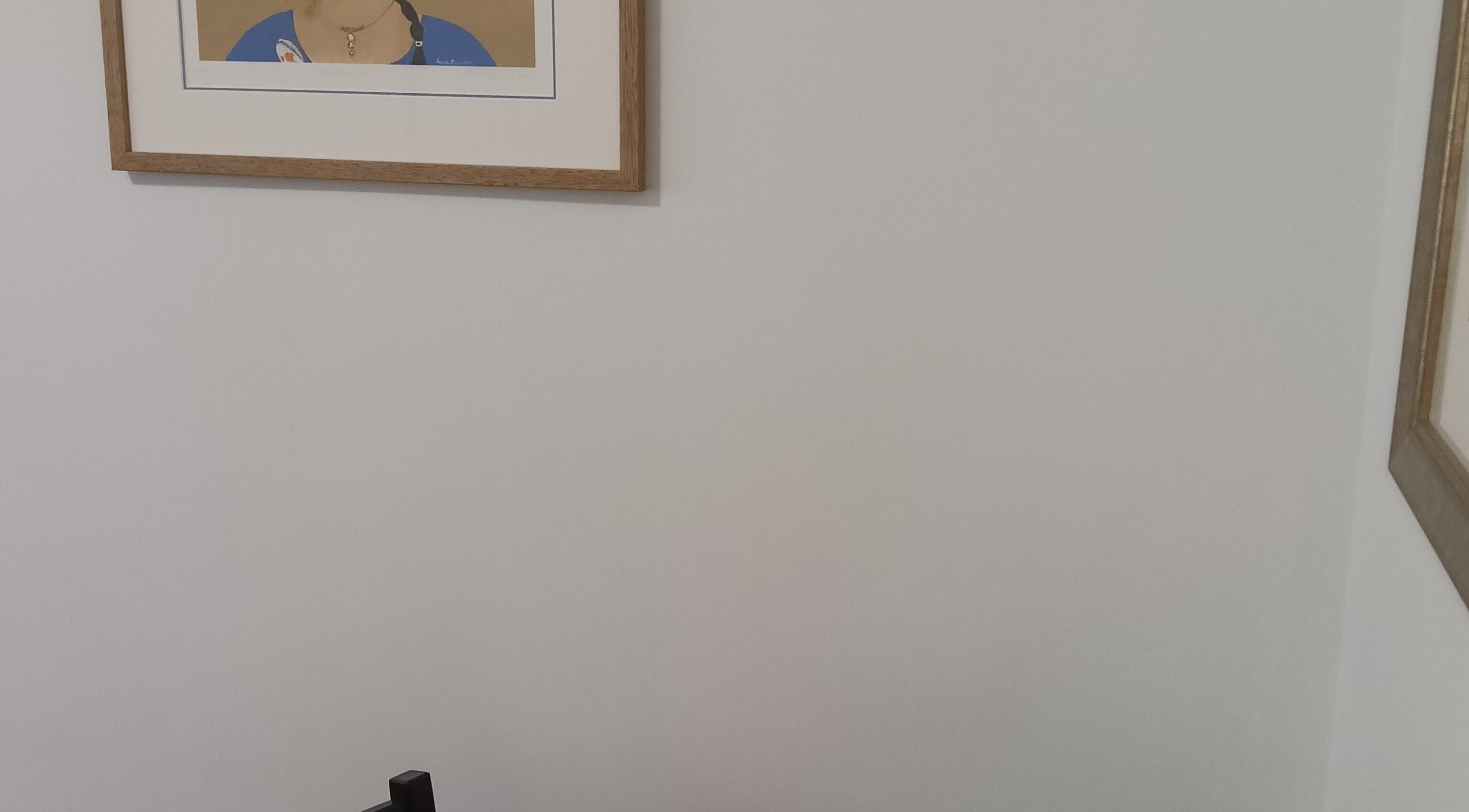 Elegant wall art at Celeste Salter Homeopath, Bathurst, New South Wales, AU.