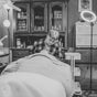 Orchid Esthetics