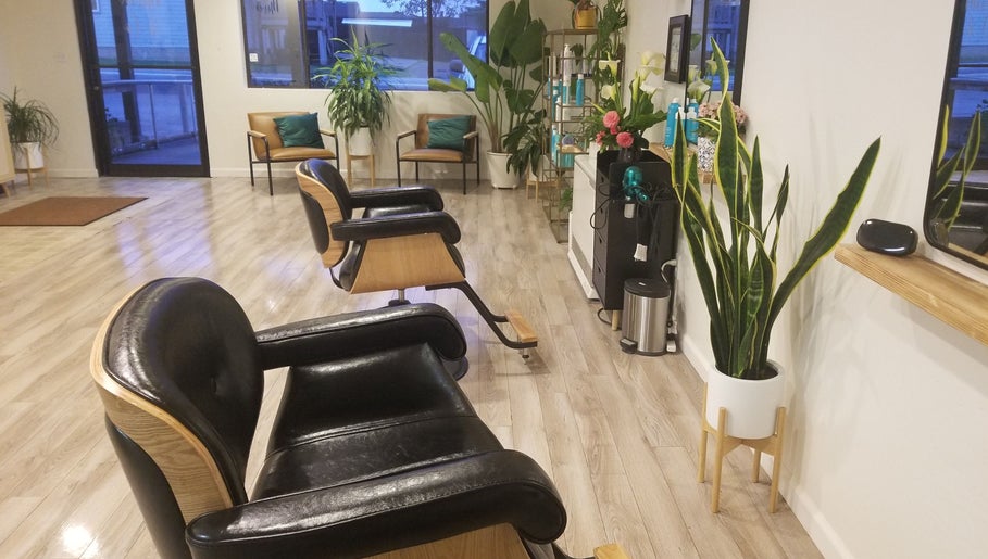 Modern salon interior at Jennifer Raymann in Fort Bragg, California, US with stylish chairs and lush plants.