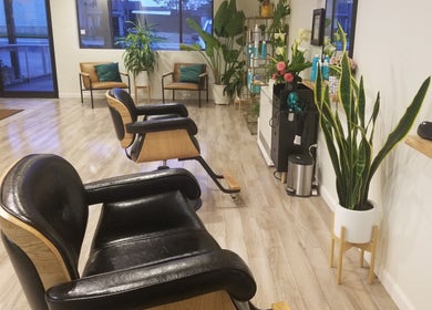 Modern salon interior at Jennifer Raymann in Fort Bragg, California, US with stylish chairs and lush plants.