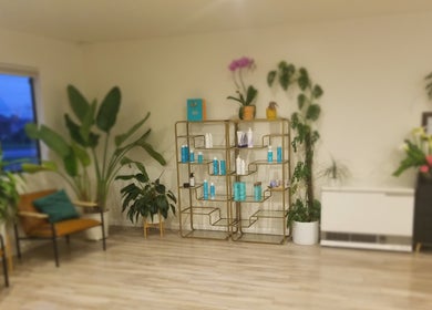 Relaxing interior at Jennifer Raymann, Fort Bragg, California with plants and wellness products on display.
