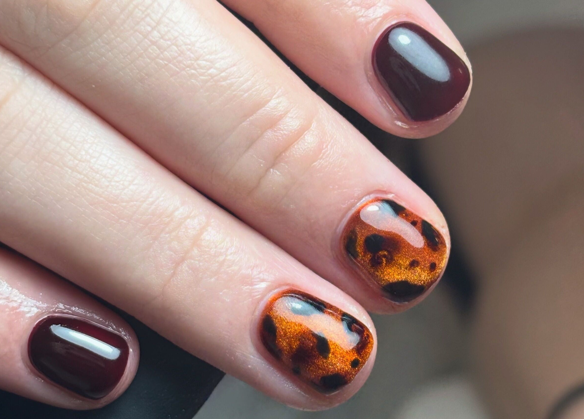 Close-up of stylish tortoise shell and dark maroon nails at Nails By Cait, Darwen, England, GB.