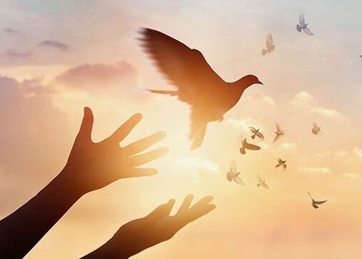 Hands releasing a bird into a sunset sky at Free at Last, Thunder Bay, Ontario, CA.