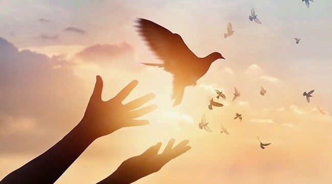 Hands releasing a bird into a sunset sky at Free at Last, Thunder Bay, Ontario, CA.