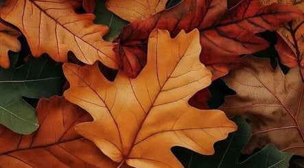 Vibrant fall leaves at My Candy Wax, River Grove, Illinois, US create a cozy and inviting atmosphere.