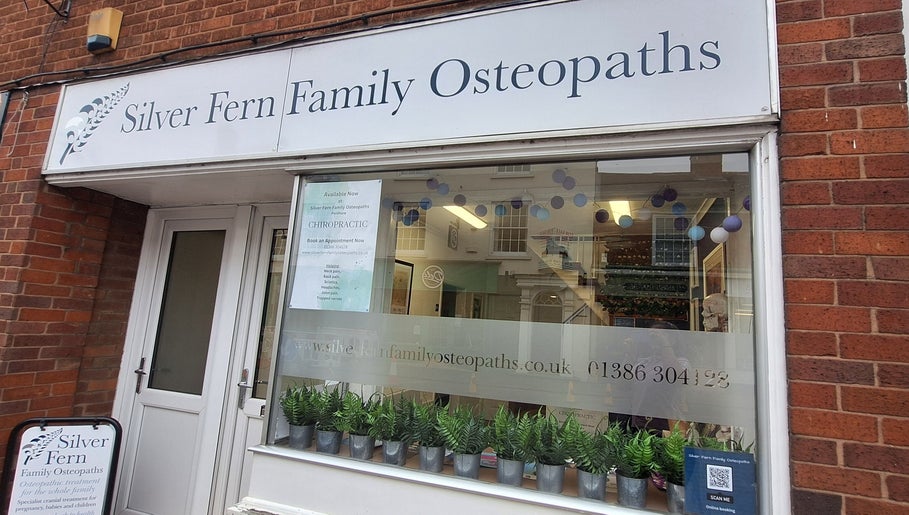 Εικόνα Chiropractic at Silver Fern Family Osteopaths 1