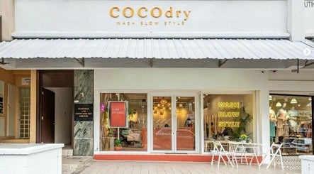 COCOdry Publika – obraz 3