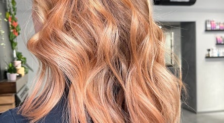 Zaķu salons image 3