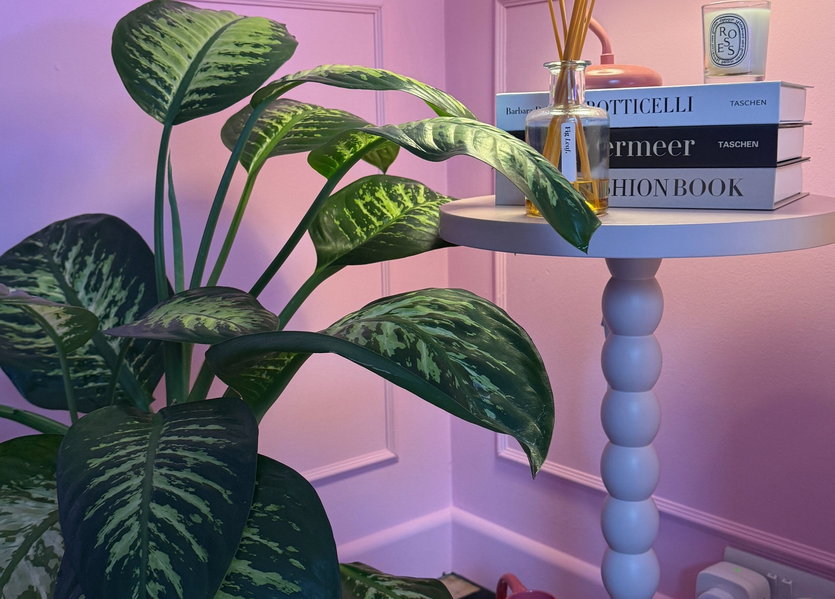 Heartbreaker Aesthetics corner with plant, books, and diffuser in Henfield, England, GB.