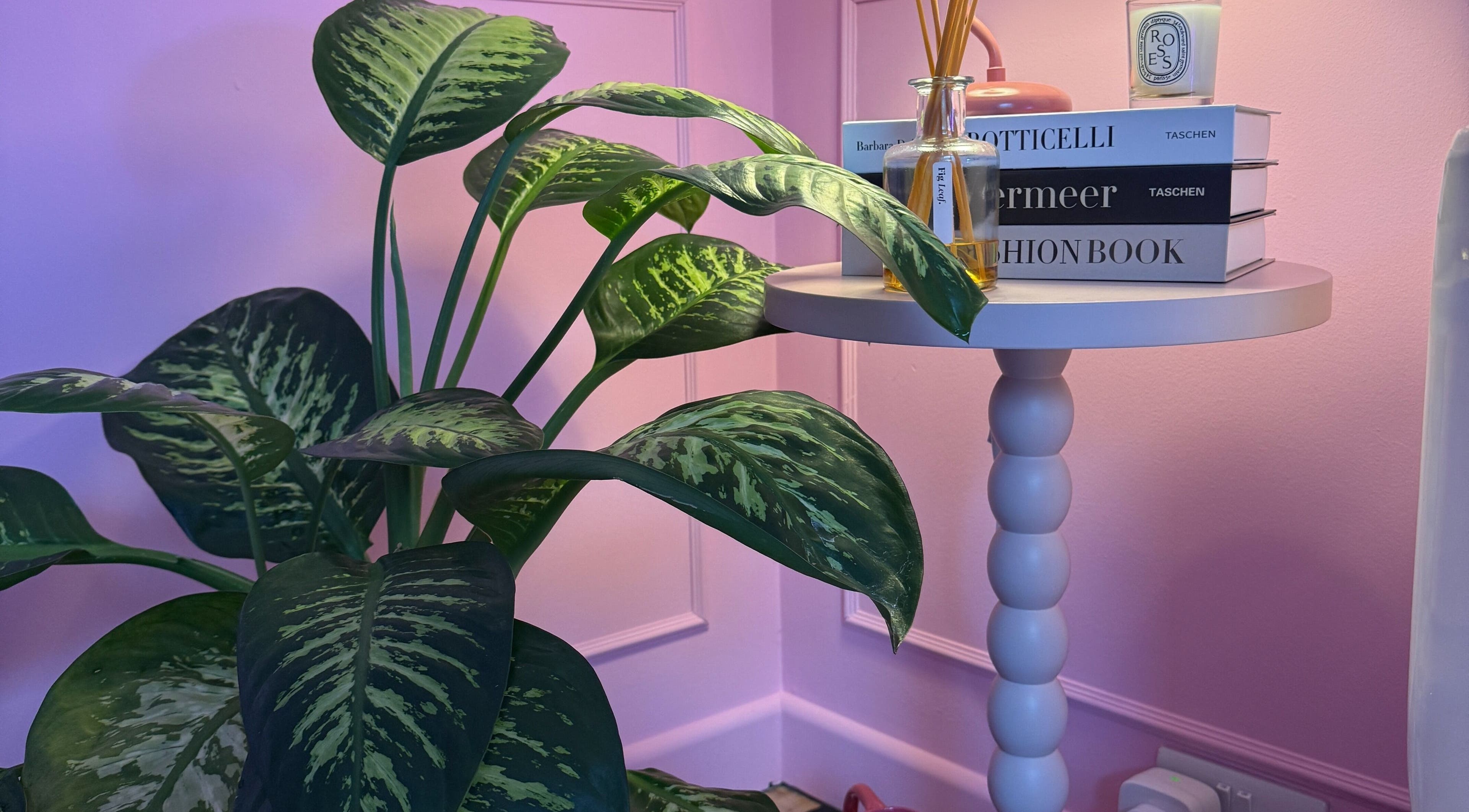 Heartbreaker Aesthetics corner with plant, books, and diffuser in Henfield, England, GB.