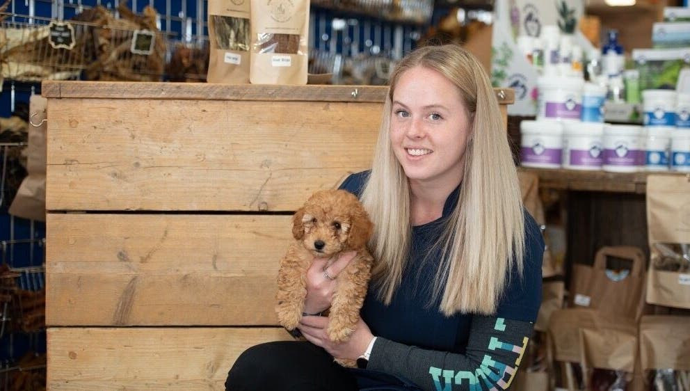 A woman holding a small puppy at Susie Qs Dog Grooming in Copplestone, England, GB, surrounded by pet supplies.