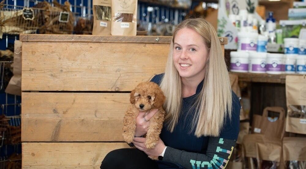 A woman holding a small puppy at Susie Qs Dog Grooming in Copplestone, England, GB, surrounded by pet supplies.