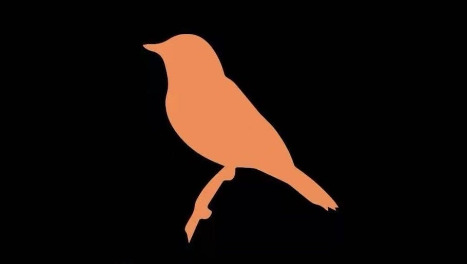 Birdland Music image 1