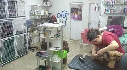 Pet Pinhais imej 3