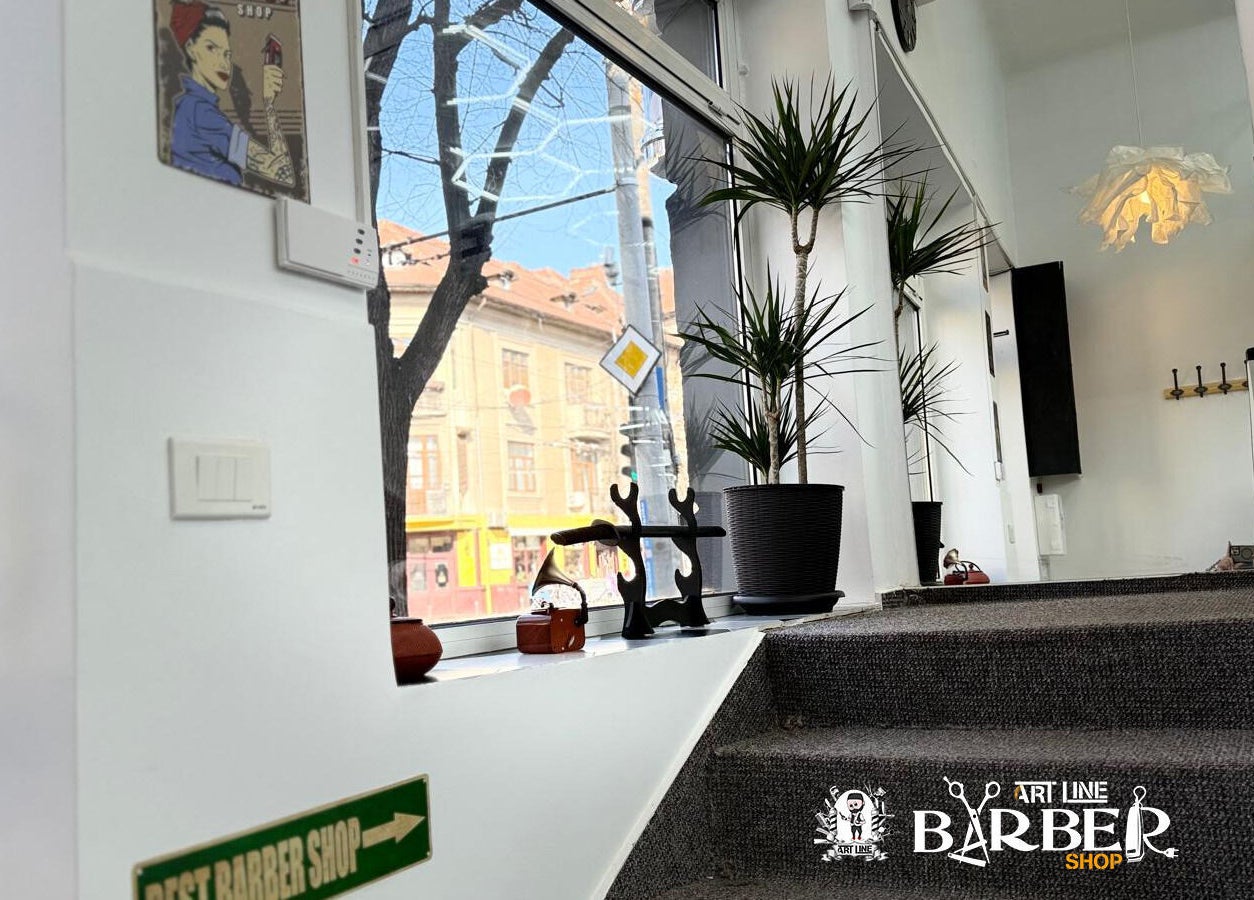 Intrarea elegantă la Art Line Barber Shop din București, București, RO, cu scări și plante decorative.