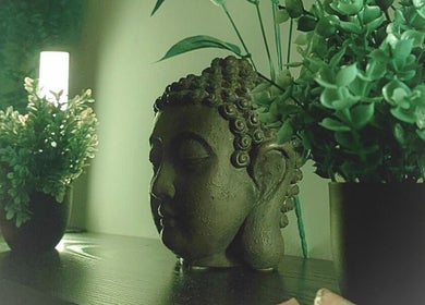 Tranquility Well-Being Buddha statue with plants in Cromer, England, GB for a calming ambiance.