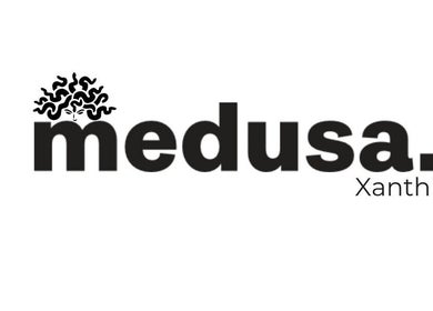 Λογότυπο Medusa Ξάνθη στο κέντρο ομορφιάς, Ξάνθη, GR.