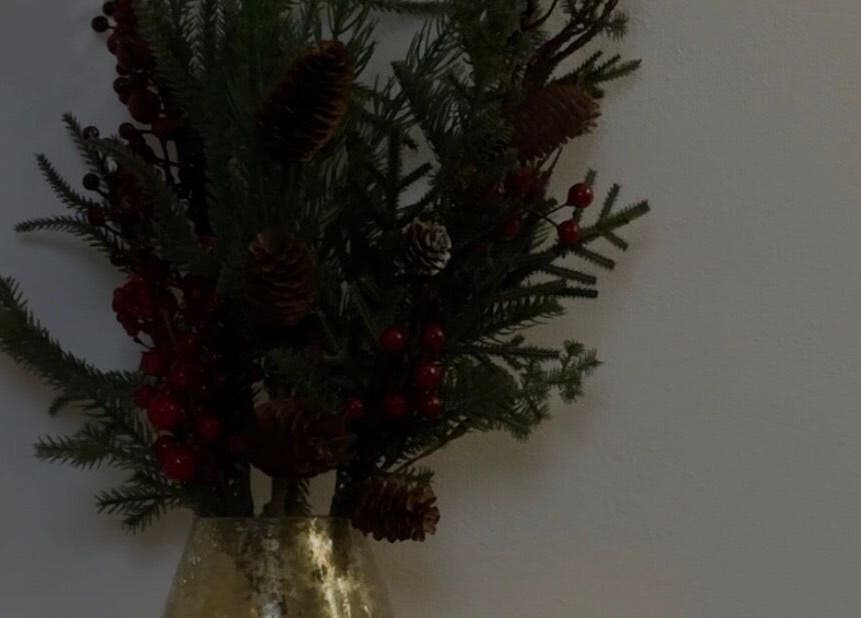 Элегантная композиция из веток с шишками в вазе, vi.lami.prague, Hlavní Město Praha, CZ.