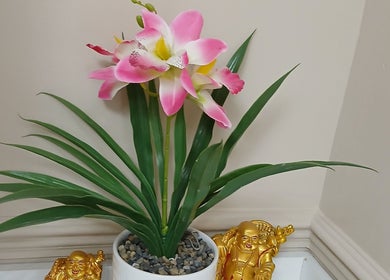 Vibrant pink orchids and golden Buddhas at Kaya's Beauty, London, England, GB, creating a peaceful ambiance.