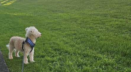 RASantos PetSitting image 3