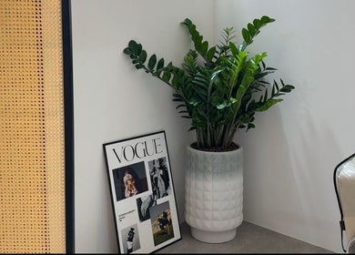 Elegant Mès Maison corner with potted plant and Vogue frame at Singapore, Singapore, SG.