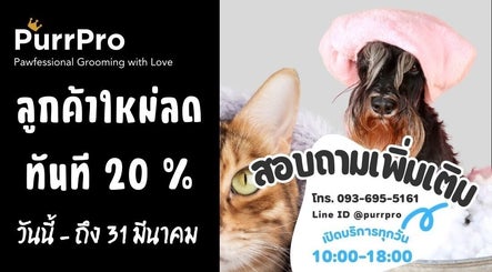 Purrpro.Grooming