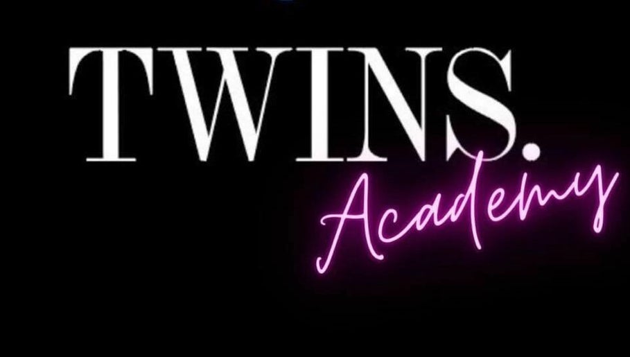 TWINS. image 1