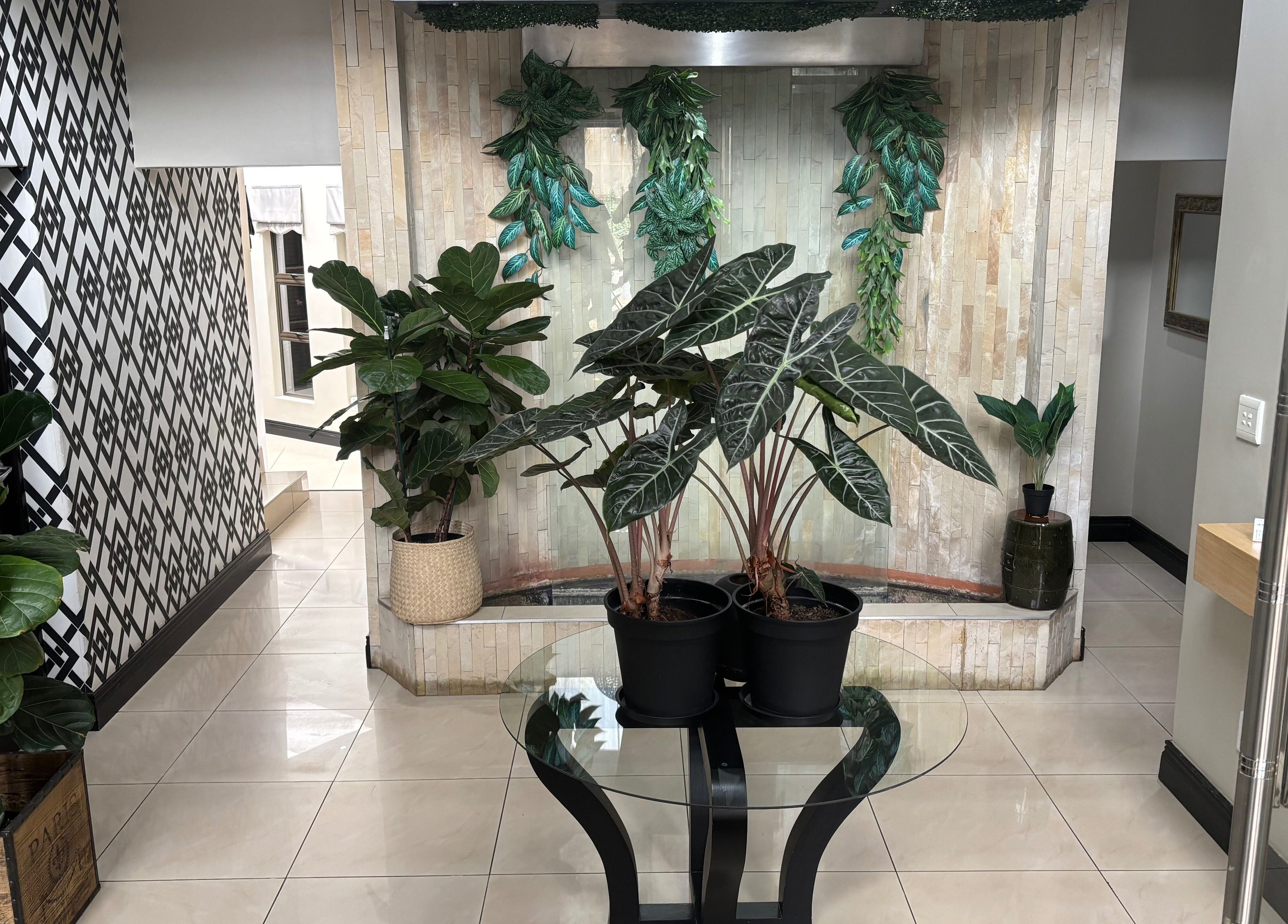 Lush plant decor in Shape And Sculpt entryway, Pretoria, Gauteng, ZA.