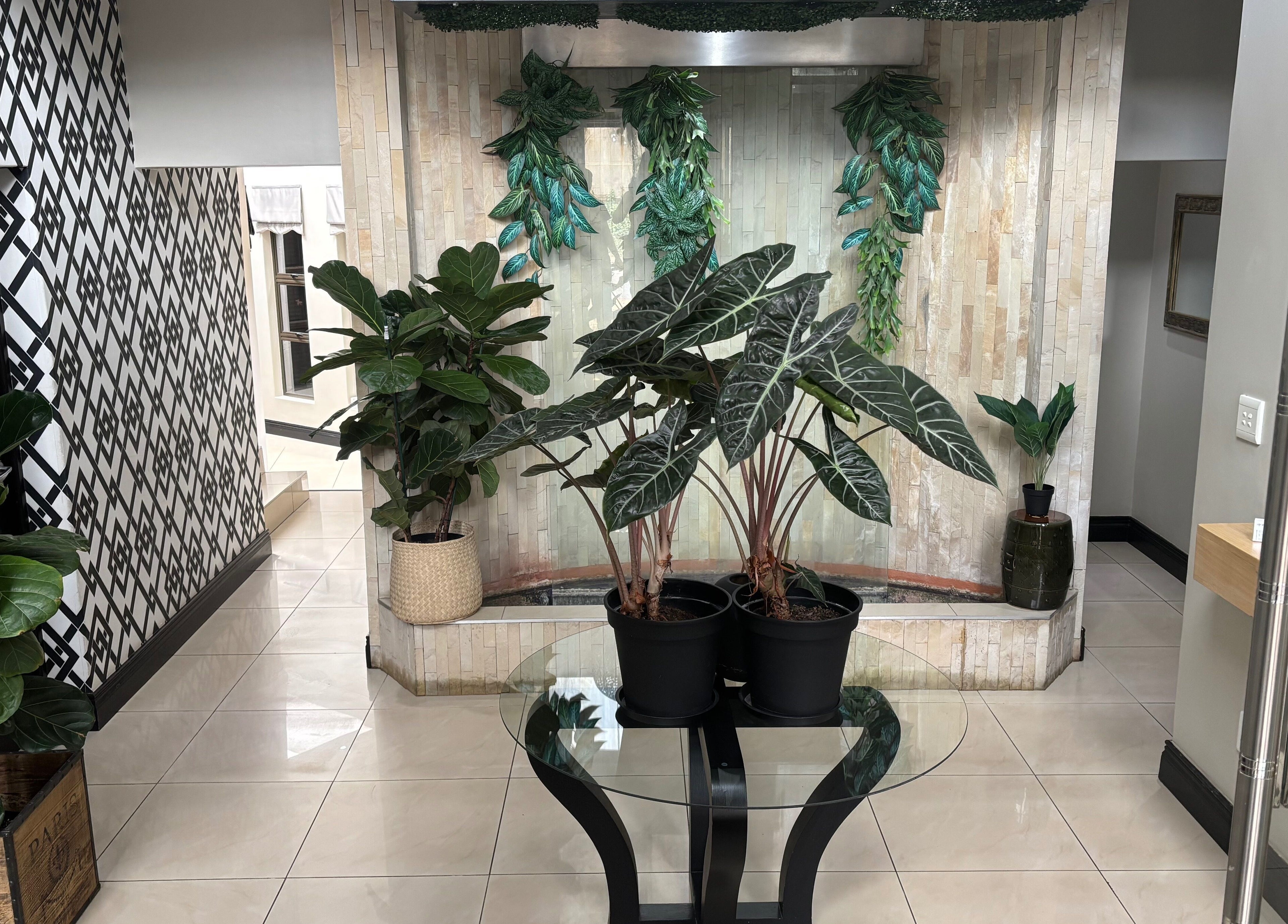 Lush plant decor in Shape And Sculpt entryway, Pretoria, Gauteng, ZA.